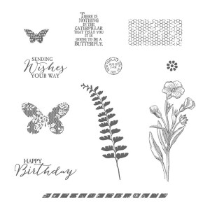 Butterfly Basics image