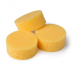 Sponges 141337G