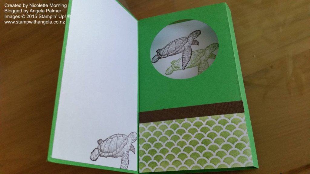 Diorama Card From Land to Sea, Turtles