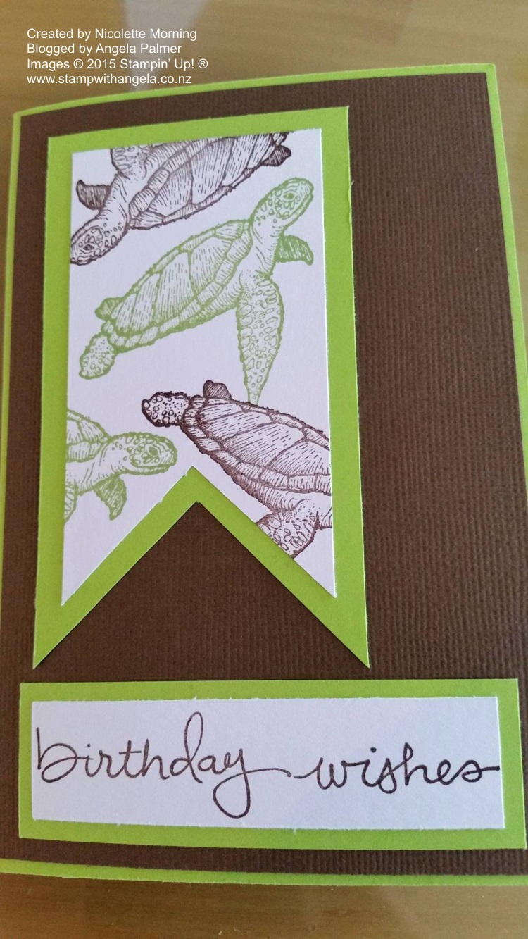 From Land to Sea, Turtles Diorama card front