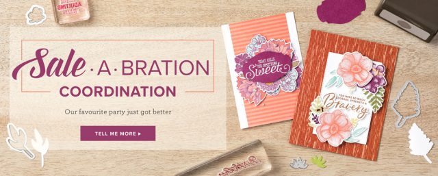 Sale-A-Bration coordination products