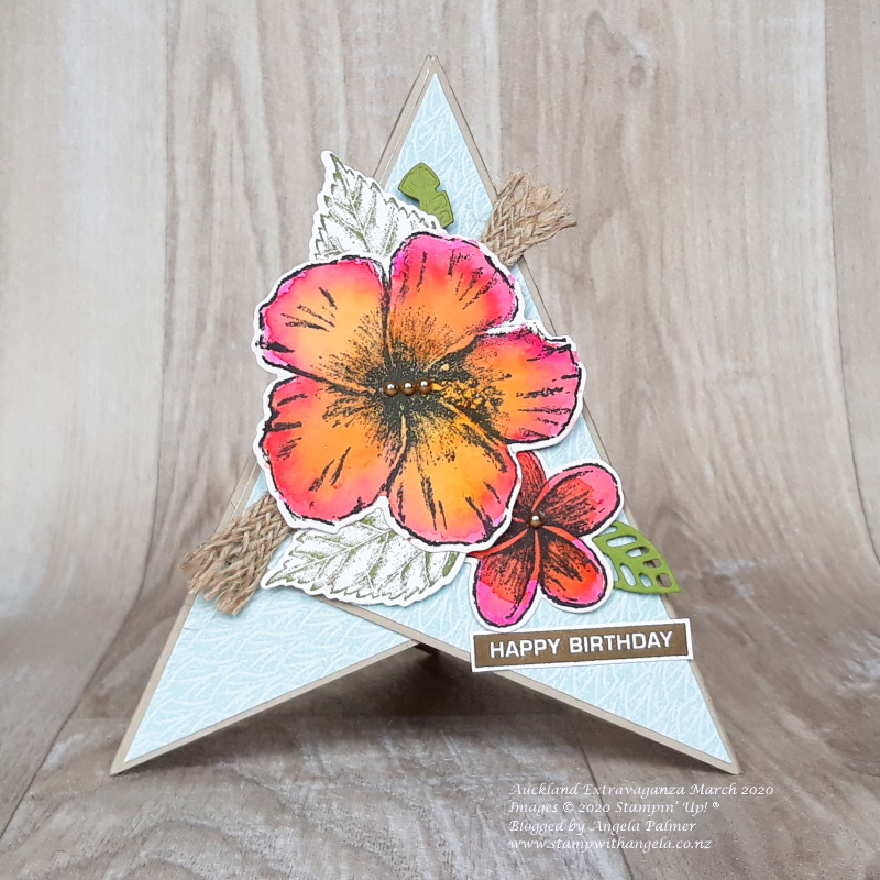 Tropical Oasis pyramid card