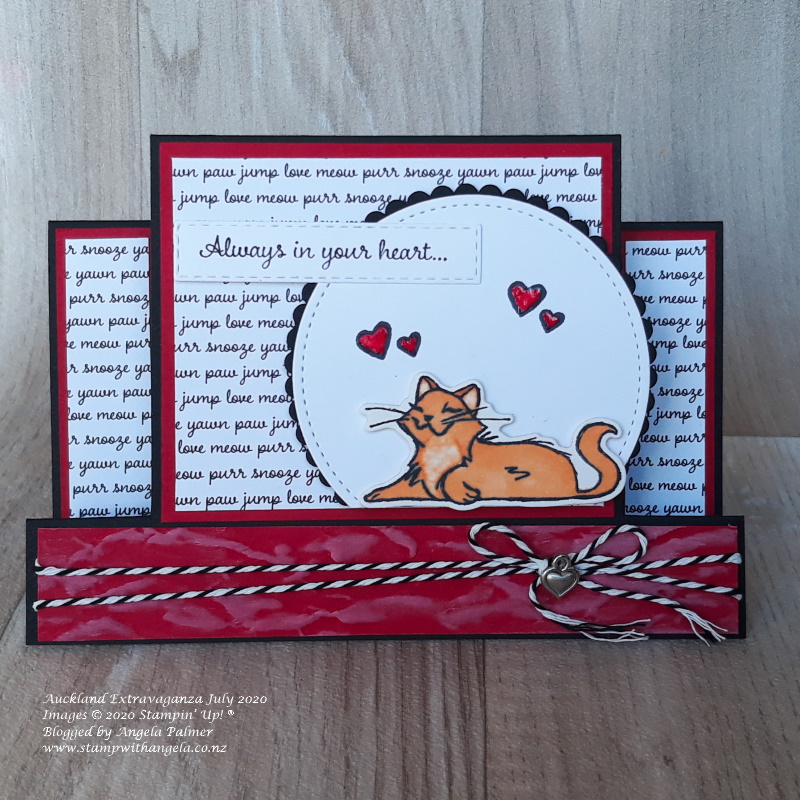 pampered pets centre step card