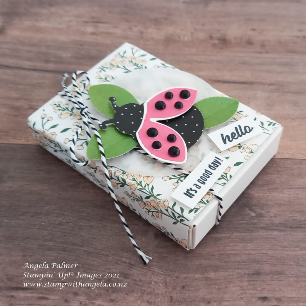 ladybug box made from sweet little boxes