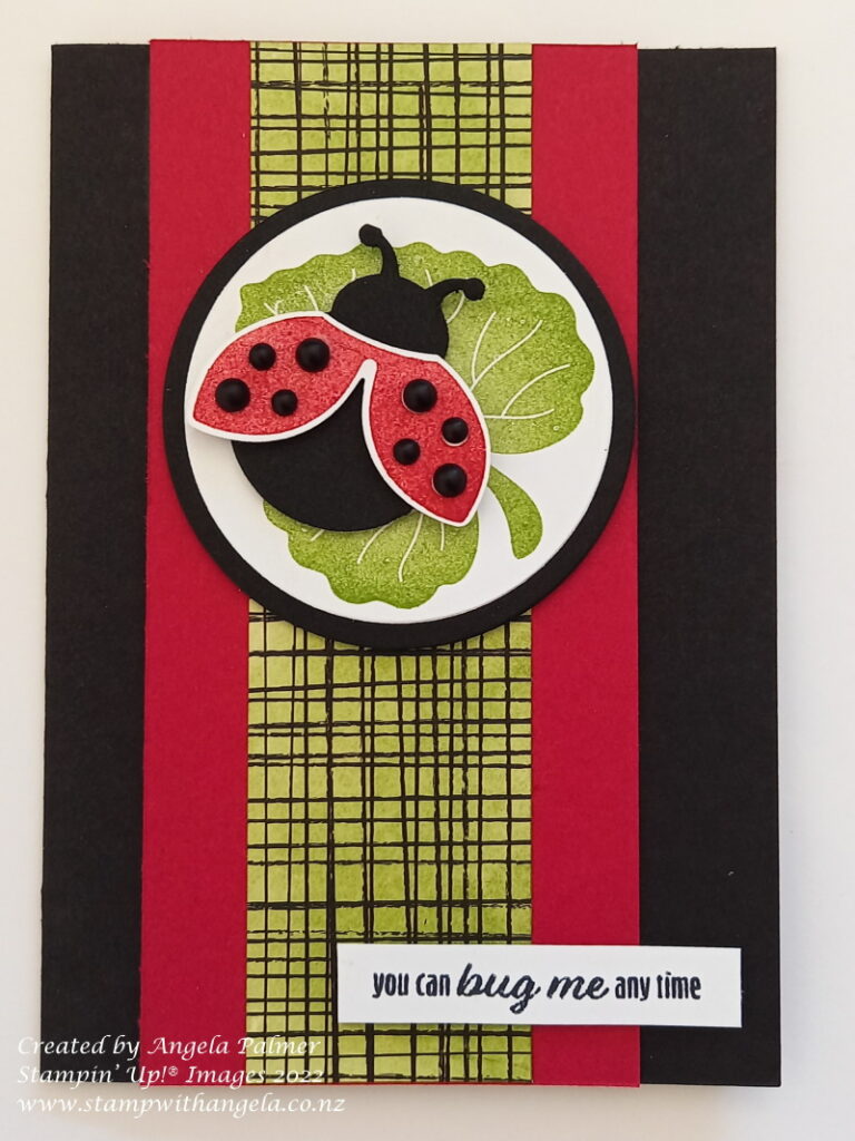 Ladybug Card with coloured patterned paper